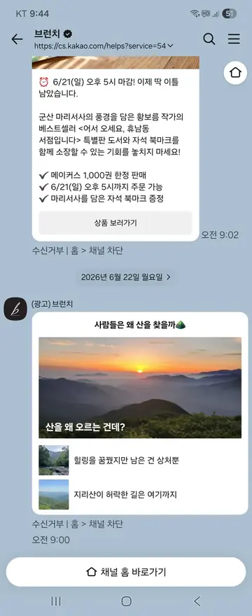 브런치 [친구톡] 한정판 도서 마감 임박 CRM 메시지