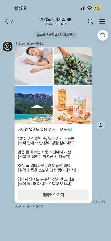 카카오메이커스 [친구톡] 여름 쿨링 상품 큐레이션 CRM 메시지
